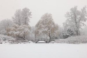 Broersepark en hiver