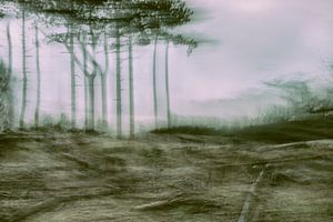 La nature en mouvement
