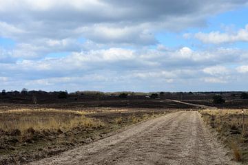 A dirt track across the moors by Gerard de Zwaan