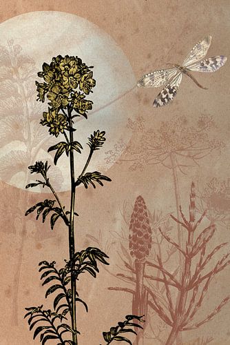 Libelle und goldene Blumen