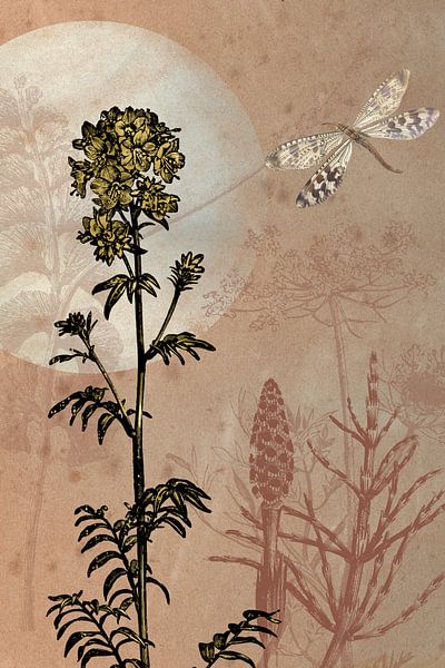 Libelle en gouden bloemen van Jadzia Klimkiewicz