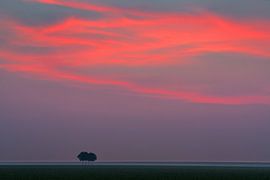 Zonsopgang in het noorden van Groningen, Nederland van Henk Meijer Fotografie