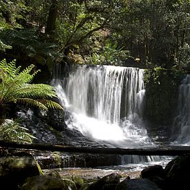 Russel watervallen in Tasmanië van Arne Hendriks