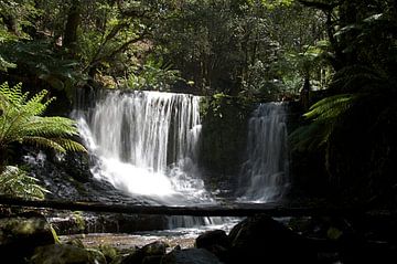 Russel watervallen in Tasmanië van Arne Hendriks