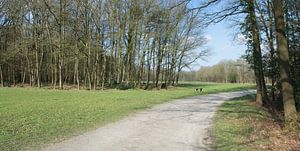 Ein Panorama des Staverdener Anwesens