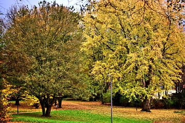Herfstig parklandschap
