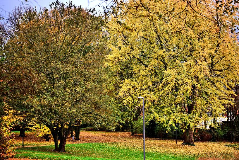 Herfstig parklandschap van Edgar Schermaul