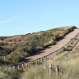 Over de duin naar het strand van Noortje van Roosmalen