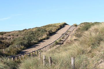 Over de duin naar het strand van Noortje van Roosmalen