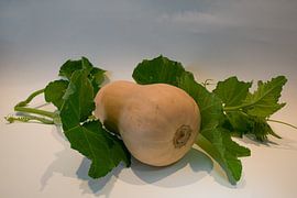 Pumpkin, the autumn vegetable par excellence by Henri Lombaerts