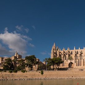 View Cathedral Palma de Mallorca van Maaikel de Haas