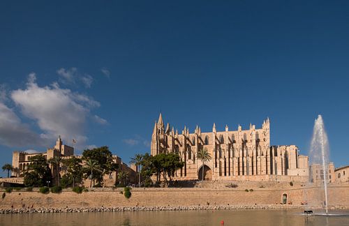 View Cathedral Palma de Mallorca