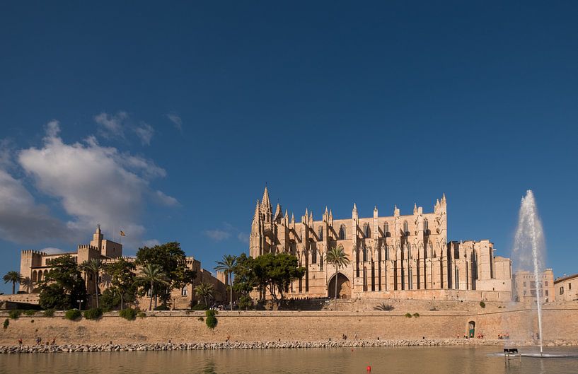 View Cathedral Palma de Mallorca van Maaikel de Haas