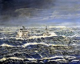 Storm op zee, de  van Pieter Johannes Schenk