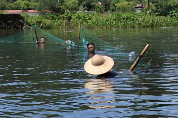Vietnamees vissen van mathieu van wezel