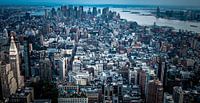 New York from Empire State Building van Alex Hiemstra thumbnail