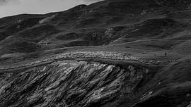Schafhirte am Col de la Croix du Bonhomme von RoyM