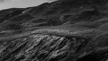 Schaapsherder Col de la Croix du bonhomme