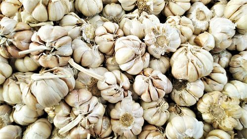 Knoblauchzehen: Irdene Ernte Textur von pungky setiawan