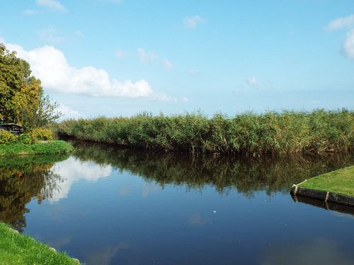 Hollands doorkijkje sur Janneke de Jong