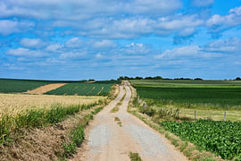 Straße durch die offene Landschaft von Vague & Form