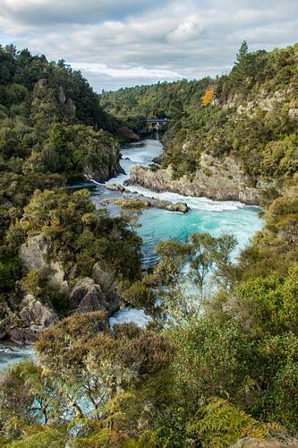 Aratiatia Rapids, Taupo, Nouvelle-Zélande