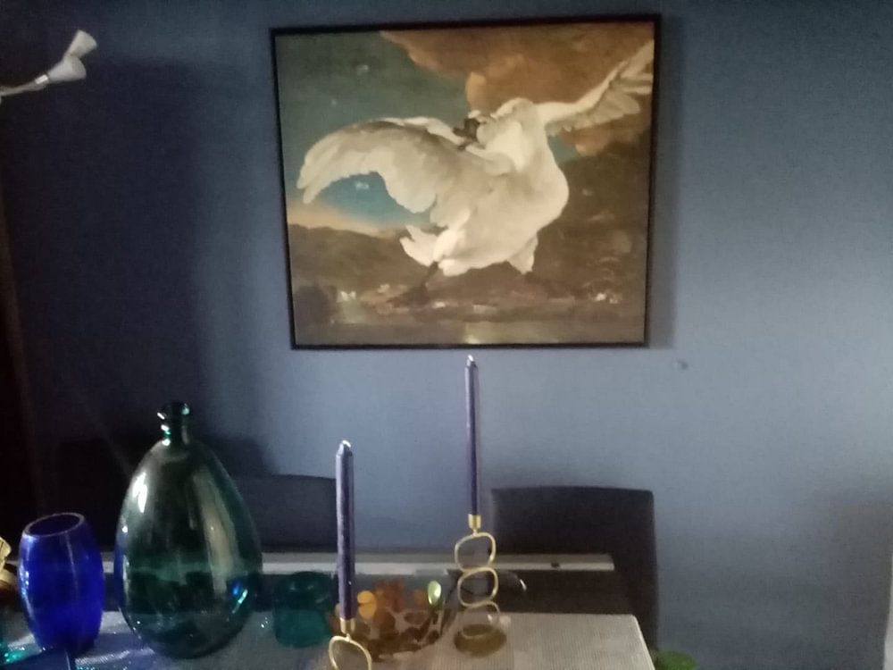 Der Bedrohte Schwan (Jan Asselijn) 