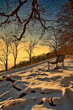 Winterzon van Tim Lee Williams