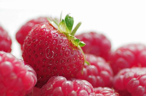 Fraise sur lit de framboises