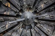 brutal by Natural Charms Fotografie thumbnail