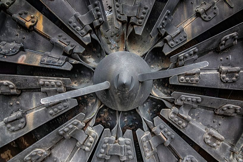brutal by Natural Charms Fotografie