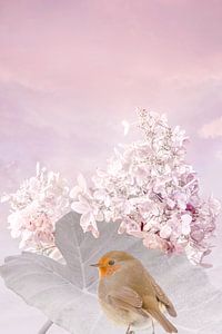 Robin in einer rosa Welt.