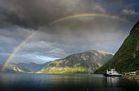 Spectaculaire regenboog boven het Fjord bij Eidsdal (Noorwegen) van Sean Vos thumbnail