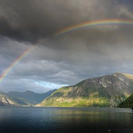 Spektakulärer Regenbogen über dem Fjord bei Eidsdal (Norwegen) von Sean Vos