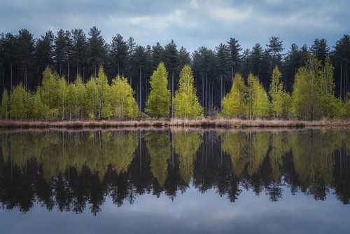Spiegeltje, spiegeltje aan de wand, wie is de mooiste berk van het lan