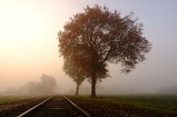 Voyage à travers l'automne par Danny Van Silfhout Aperçu