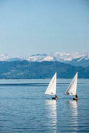 Segelboote auf Bodensee von Dieter Walther
