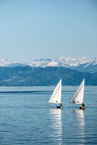 Segelboote auf Bodensee