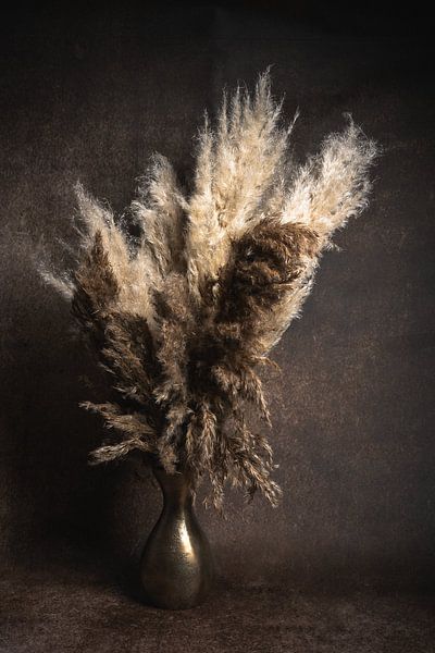 Nature morte à l'herbe de la pampa par John van de Gazelle fotografie