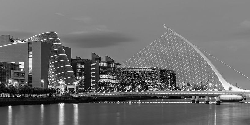 Samuel Beckett bridge in black and white by Henk Meijer Photography