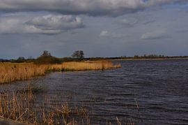 Uitzicht over het Friese meer