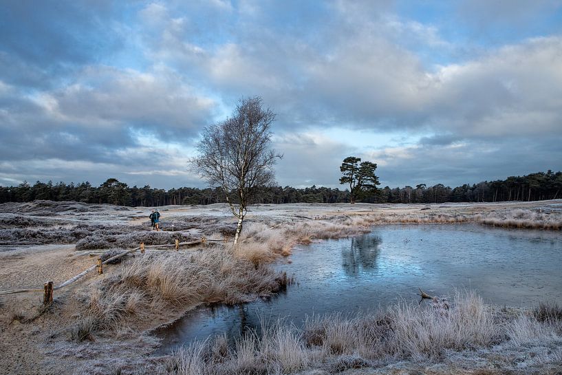 Winter auf Gut Heidestein Bornia in Driebergen Zeist von Peter Haastrecht, van