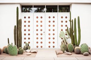 Palm Springs aus der Mitte des Jahrhunderts