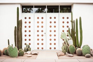 Palm Springs halverwege de vorige eeuw van Philippe HUGONNARD
