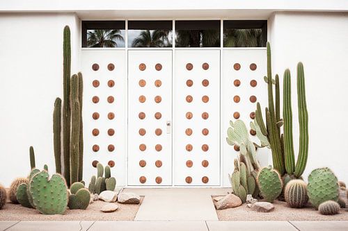 Palm Springs at mid-century