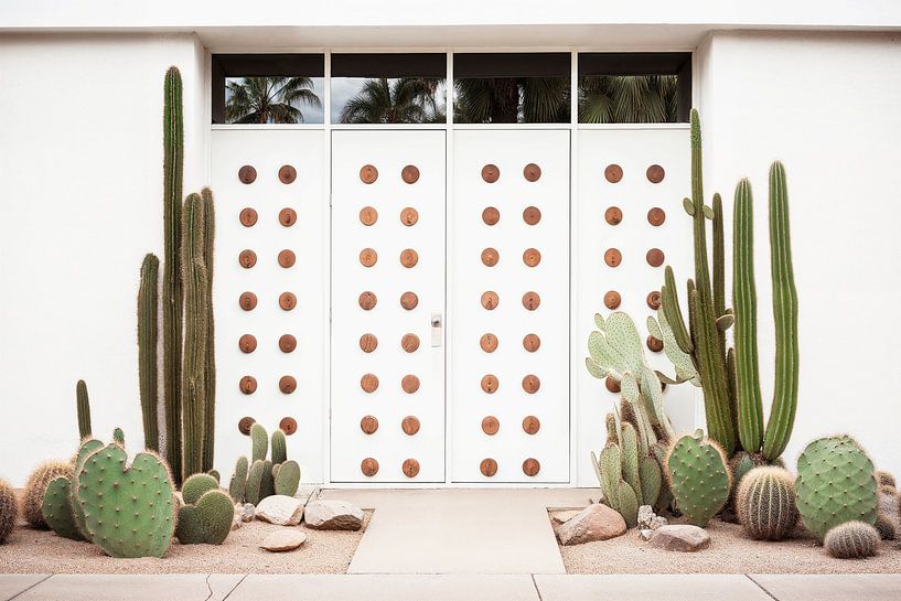 Palm Springs du milieu du siècle par Philippe HUGONNARD