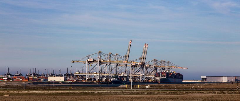 Kranen von Peter Hoogeveen