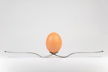 Balancerend ei op twee vorken von Tonko Oosterink