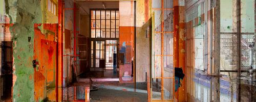 Pas de règles, pas de limites - panorama sur Caroline Boogaard