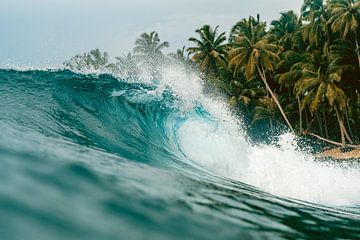 Mentawai golven 3 van Andy Troy